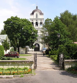 church building with green trees